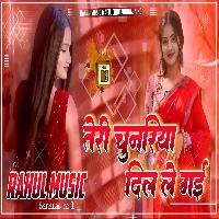 Teri Chunariya Dil Le Gai Hindi Old Dj Remix Song Rahul Music Mafia Chhitaunigaon no 1